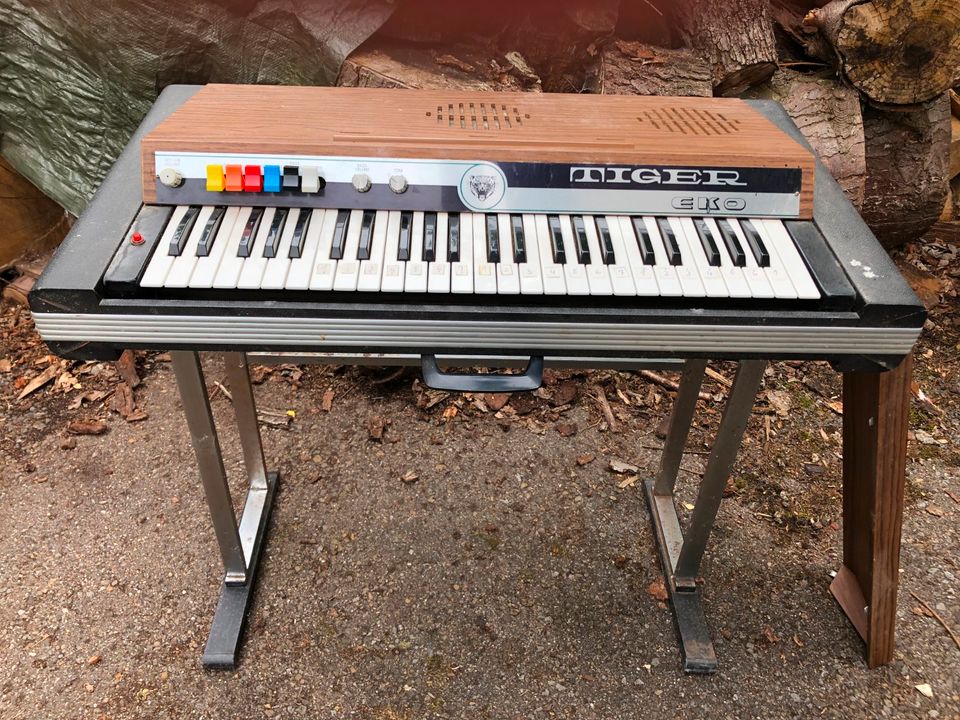 Orgel Tiger Eko 220 V in Obernkirchen