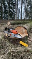 Forstwirtschaftliche Dienstleistungen Baumfällung / Sturmschäden/ Brandenburg - Bad Belzig Vorschau