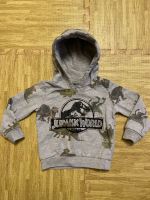 Hoodie 92 Kapuzenpullover Dinos Jurassic World Sachsen - Riesa Vorschau