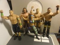 Wrestling Figuren WWE AEW,Macho Man,Bailey,Daniel Brian,John Cena Pankow - Weissensee Vorschau