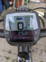 E Bike QIO EINS A-8 LL 2022 | 47 cm | lead metal | 20 Zoll Baden-Württemberg - Dettenheim Vorschau