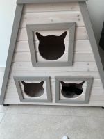 Neu Katzen haus Baden-Württemberg - Sindelfingen Vorschau