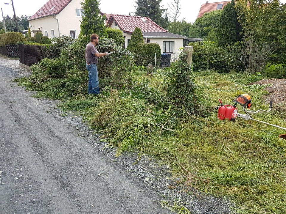 Vom Profi : Hecken , Gestrüpp, Gebüsche, entfernen, roden, fräsen in Oschatz