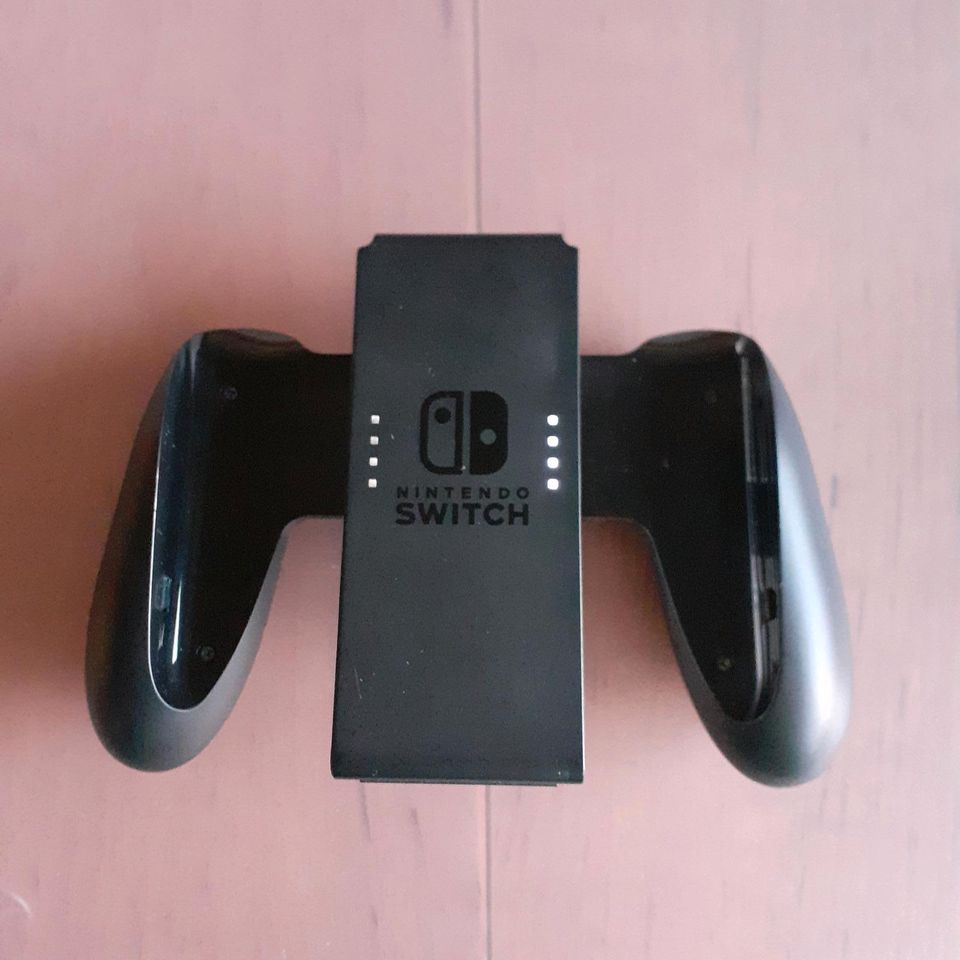 Nintendo Switch Joy-Con Halter in Niederfischbach