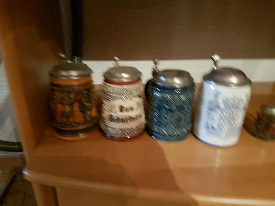 Bierkrug Sammlung über 70 verschiedene in Mömbris