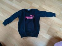 Pullover Pulli Puma Rheinland-Pfalz - Bann Vorschau