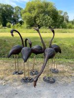 5 Lebensgrosse Flamingo aus Bronze Dortmund - Bittermark Vorschau