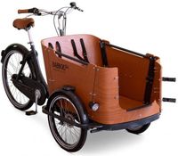 Babboe GO Mountain Lastenrad 500Wh Lastenfahrrad max. 220kg Nordrhein-Westfalen - Gelsenkirchen Vorschau