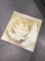 Bilderwelten weiße Rose auf Leinwand 53 x 53 cm Niedersachsen - Gifhorn Vorschau