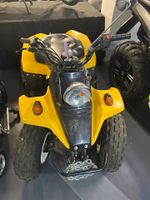 Kazuma Panda 50ccm Quad 2Takt Straßenzulassung Baden-Württemberg - Fellbach Vorschau