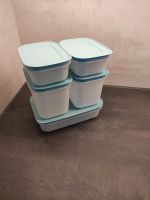 Tupperware Eins-Kristall Set NEU Gefrierbehälter Bayern - Hollenbach Vorschau