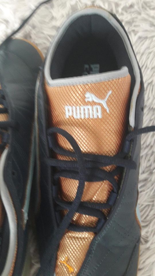 Puma, Herren Sportschuhe Gr. 11 in Angelburg