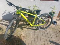 Hardtail mtb cube Sachsen-Anhalt - Bad Bibra Vorschau