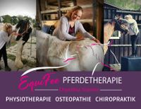 Physiotherapie, Osteopathie & Chiropraktik für Pferde Niedersachsen - Dötlingen Vorschau