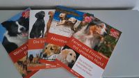 Ein Herz für Tiere - Rund um den Hund - 4 Ratgeber (NEU) Hessen - Butzbach Vorschau