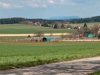 Offenstallplätze in 78112 Königesfed / Weiler ab sofort FREI! Baden-Württemberg - Königsfeld Vorschau