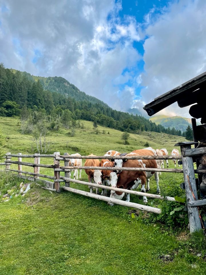 Urlaub Berghütte Nähe Zell am See, Österreich in München