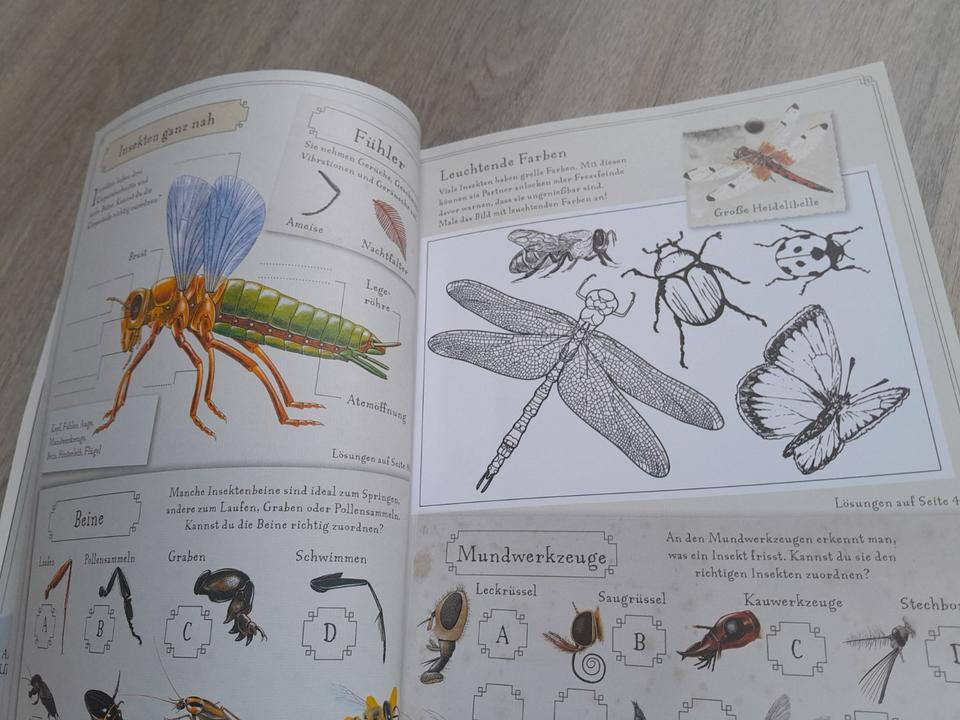 Die Welt der Insekten und andere Krabbeltiere von Tessloff in Weyhe