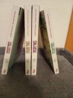 Final Fantasy Manga 1-4 Top Zustand Schleswig-Holstein - Schleswig Vorschau