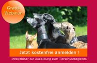 Ausbildung zum Tierschutzbegleiter | kostenfreies Infowebinar Bayern - Rieden a. Forggensee Vorschau