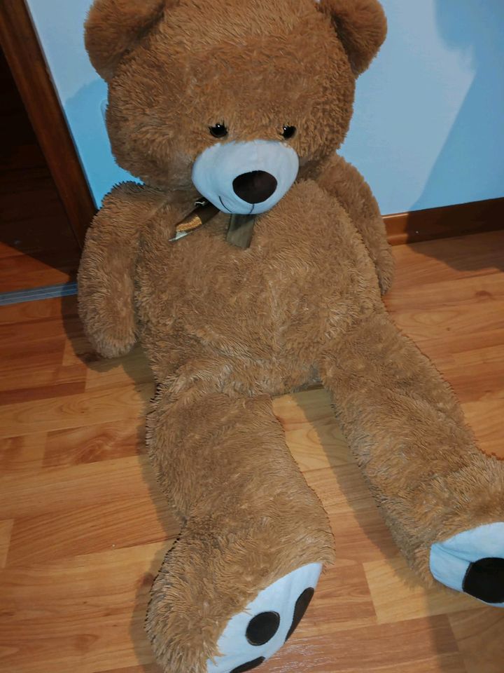 Teddybär 110cm in Hamburg