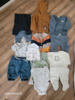 Bodys, kurze Hosen, T-Shirts und Pollover größe 56 Brandenburg - Eberswalde Vorschau
