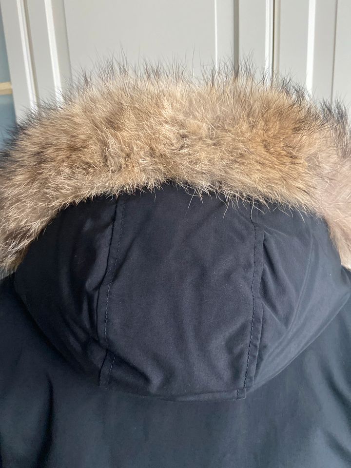 Parka Daunenjacke WOOLRICH schwarz Gr. XL Arctic Parka in Oberursel (Taunus)