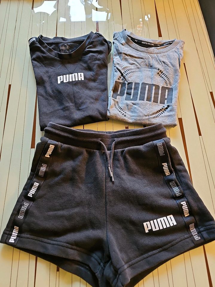 Puma - 2 Shirts + 1 kurze Sporthose 128/134 ( 140 ) in Nürnberg (Mittelfr)