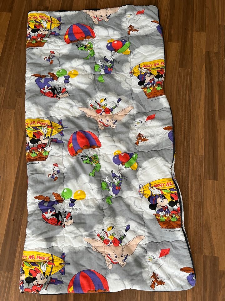 Kinderschlafsack, Schlafsack Disney in Dortmund