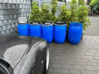 Regenfass Tonne 100 Liter 40x80cm Garten Pflanzen Baustelle Nordrhein-Westfalen - Mülheim (Ruhr) Vorschau