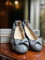 Neue Ballerinas | 41 | Grau | Leder | Schleife Hessen - Heppenheim (Bergstraße) Vorschau