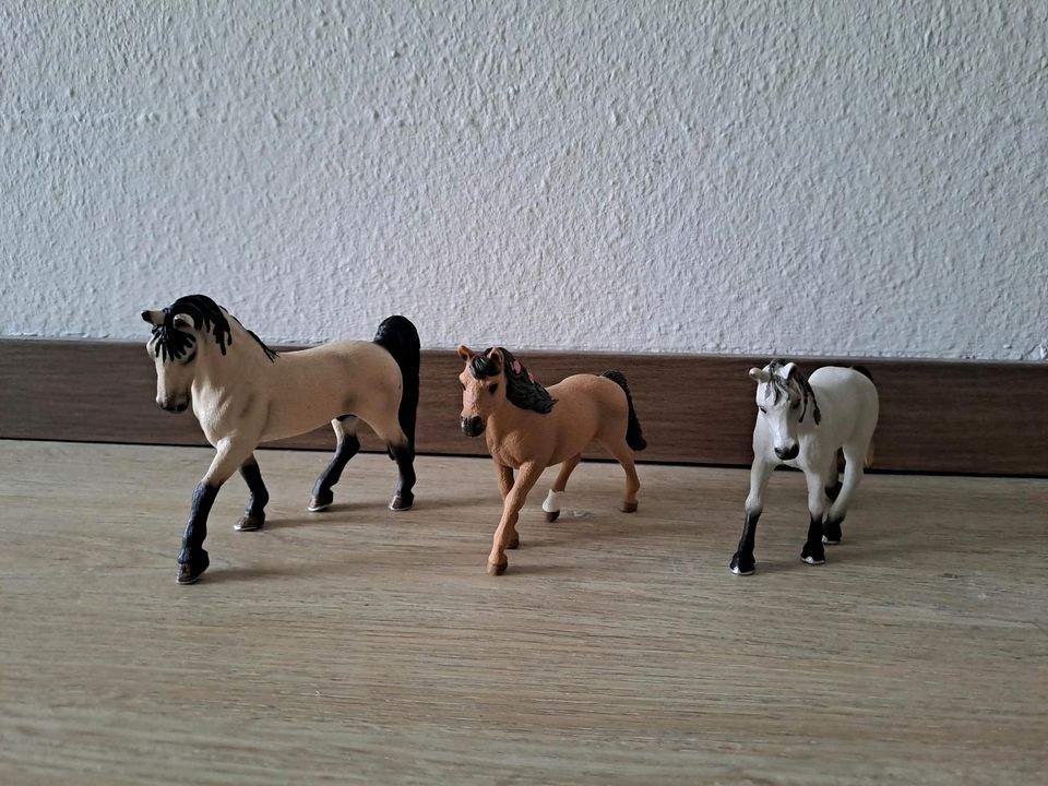 Schleich Pferde, Tiere, Menschen, Futter, Zubehör in Lunden