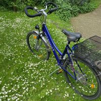 Fahrrad mit Gepäckträger Citybike McKenzie mit Federung Duisburg - Walsum Vorschau