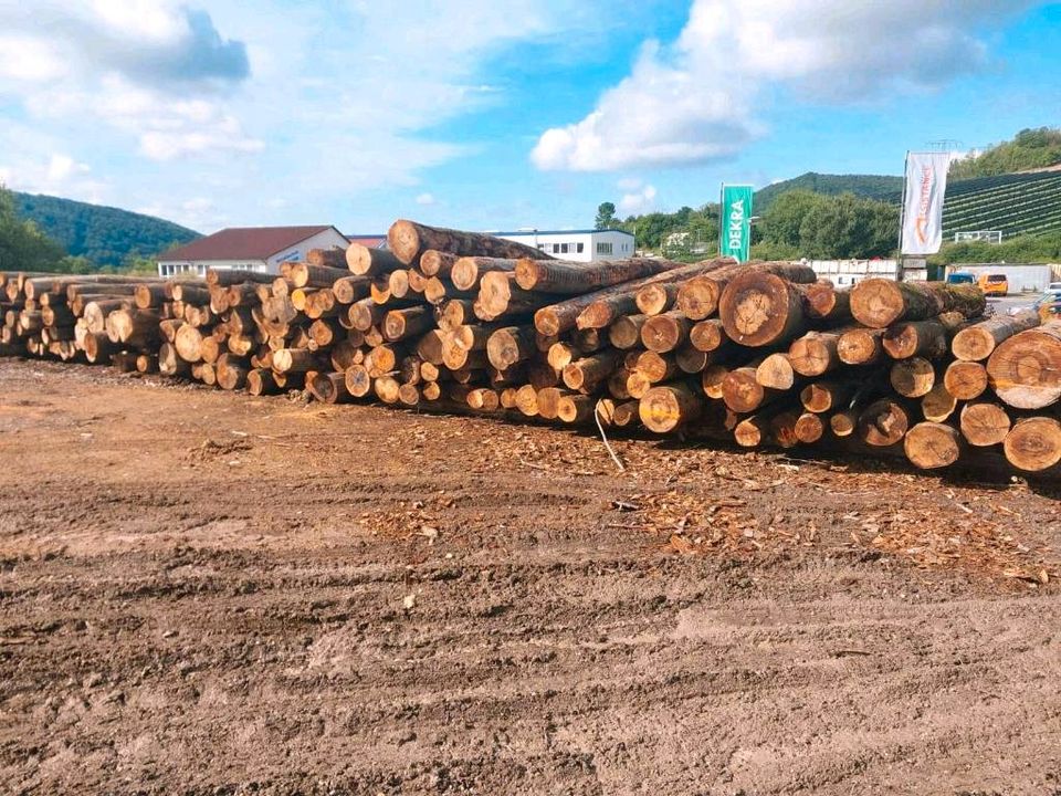 Kaminholz Brennholz Fichte 1 Srm 55,-Euro trocken in Viernau