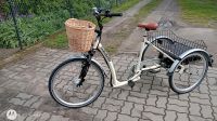 E Fahrrad Dreirad 26" Brandenburg - Rhinow Vorschau