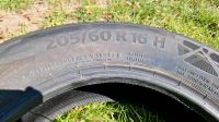 Sommerreifen Continental 205/60 R16 H Brandenburg - Rangsdorf Vorschau