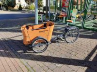 Lastenfahrrad E-Bike Fahrrad Babboe Curve Mountain NEU! Hessen - Korbach Vorschau