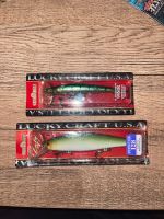 Lucky Craft Pointer 128 & Flash Minnow 95Mr SELTEN Wandsbek - Hamburg Eilbek Vorschau