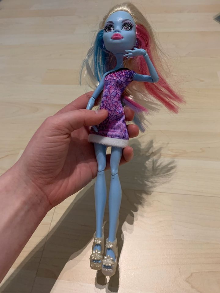 Monster High Puppen in Schönberg