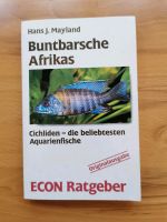 Buntbarsche Afrikas Niedersachsen - Osnabrück Vorschau