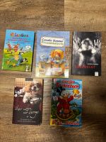 Kinder- Teenager Bücher Bayern - Schwabmünchen Vorschau
