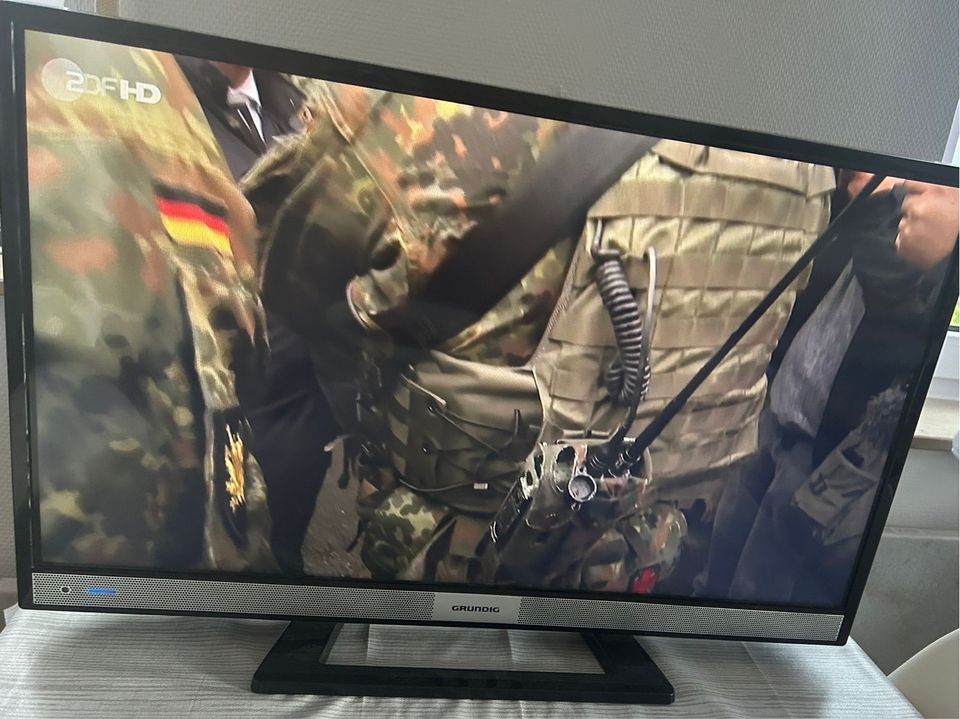 Grunding Fernseher in Warthausen