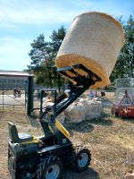 Stier Minilader Hoflader Radlader Sachsen-Anhalt - Salzwedel Vorschau