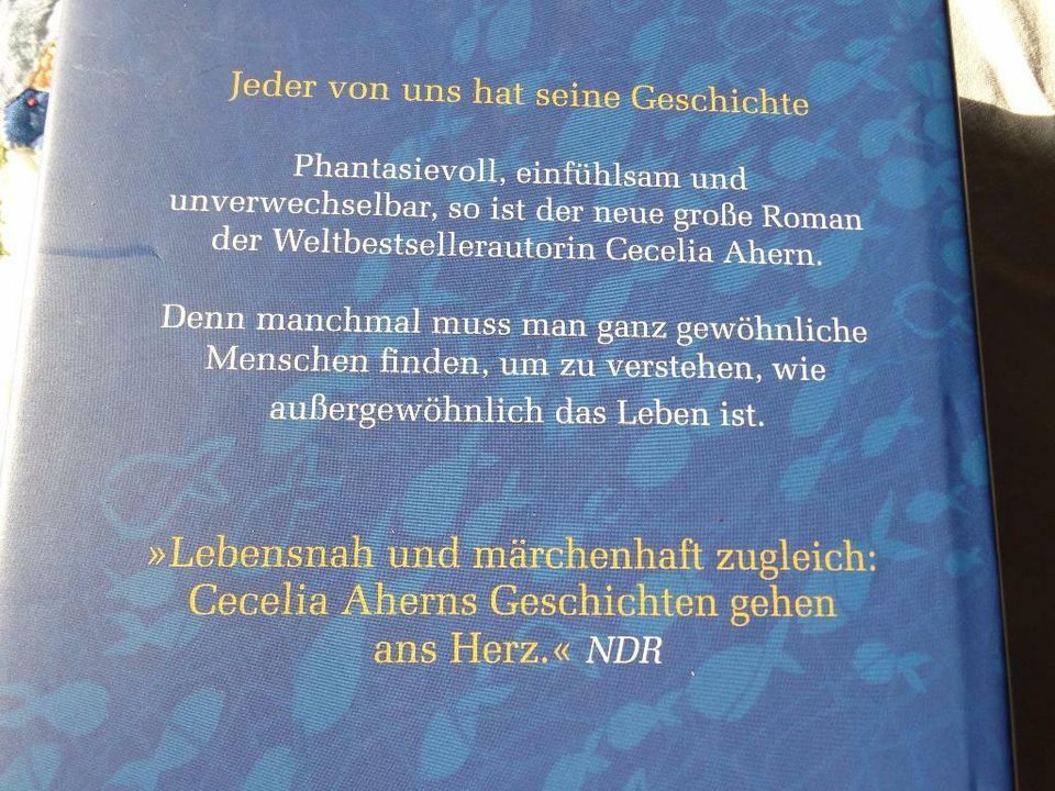 Cecelia Ahern Hundert Namen Roman Fischer in Osternienburger Land