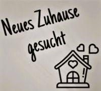 Dringend!!! Haus oder Wohnung zur Miete gesucht Bayern - Lohr (Main) Vorschau