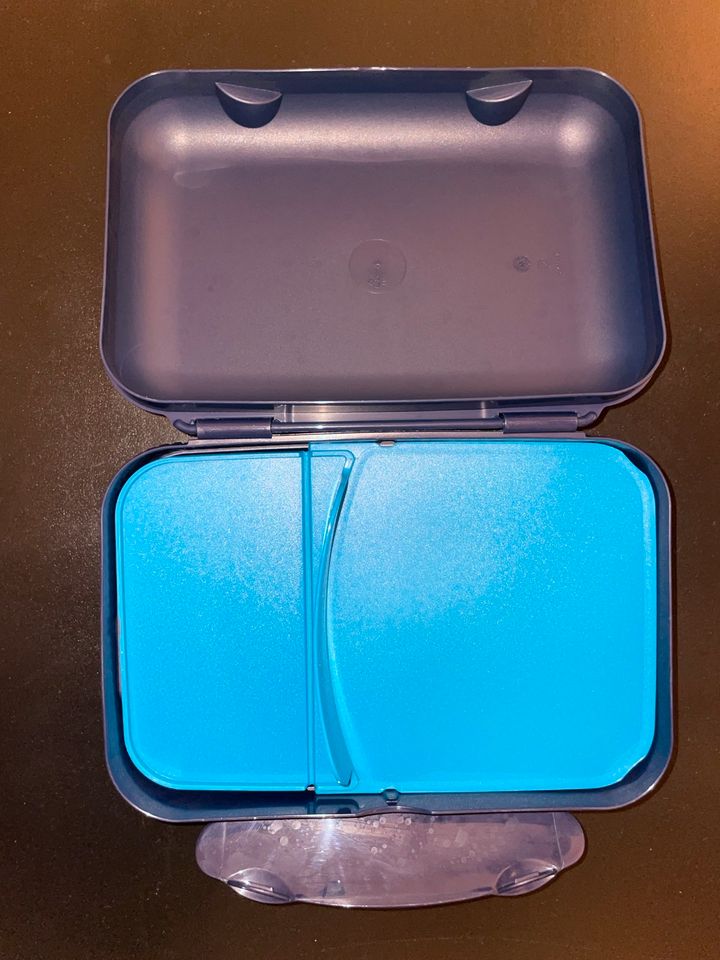 Tupperware Box in blau in Kerpen