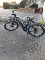 Herren E-Bike  MTB Rheinland-Pfalz - Erpel Vorschau