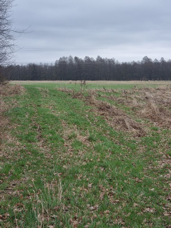 Landwirtschaft Grünland in Niedermiesau (Pfalz) zu verkaufen! in Bruchmühlbach-Miesau