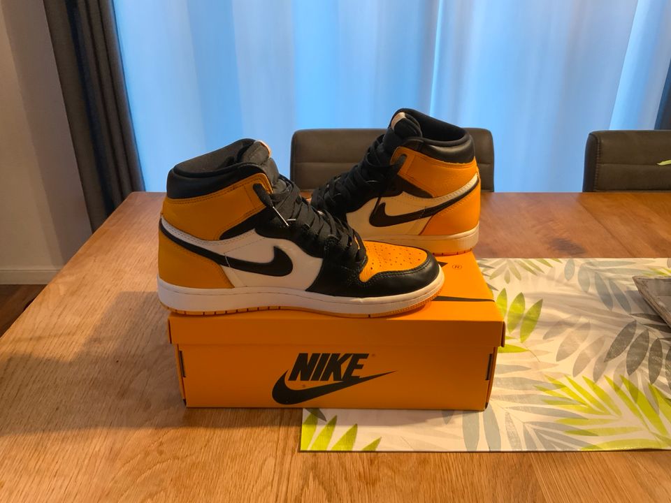 Jordan 1 Retro High OG Taxi, GR.42,5, ORIGINAL in Mühldorf a.Inn