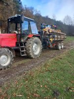 Stammholzverkauf und Holztransport inklusive Anlieferung Thüringen - Sitzendorf Vorschau